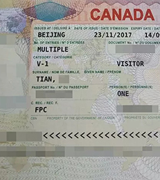 加拿大签证-澳星